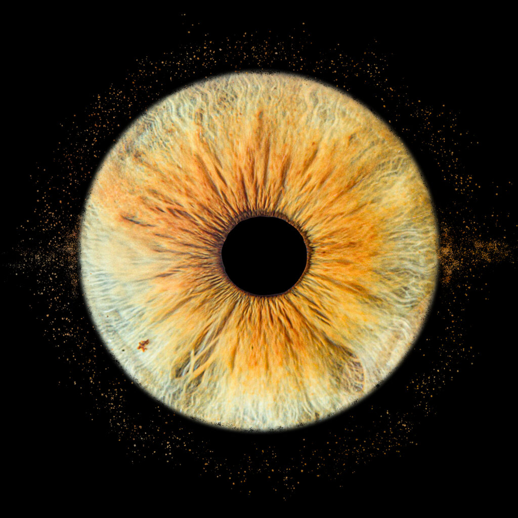 Iris doré sur fond noir pailleté