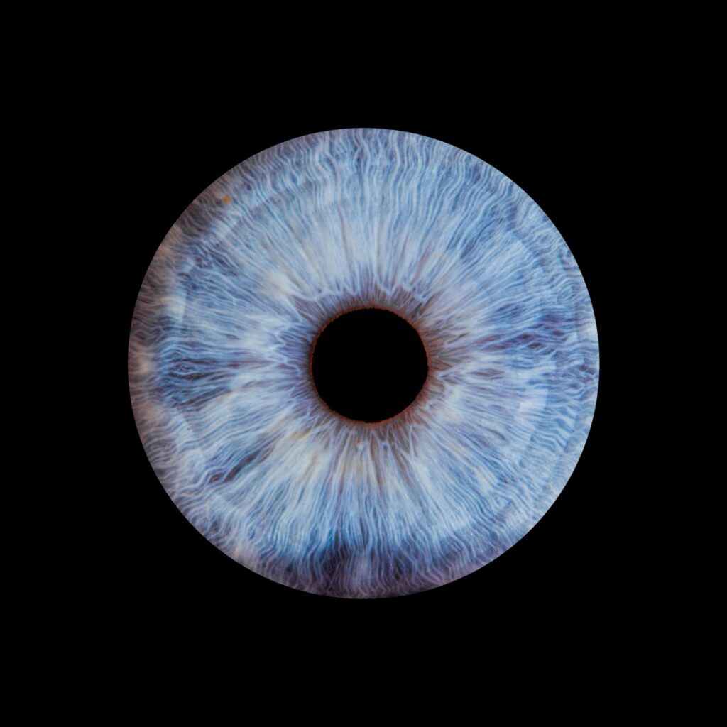 Iris bleu photographié en macro