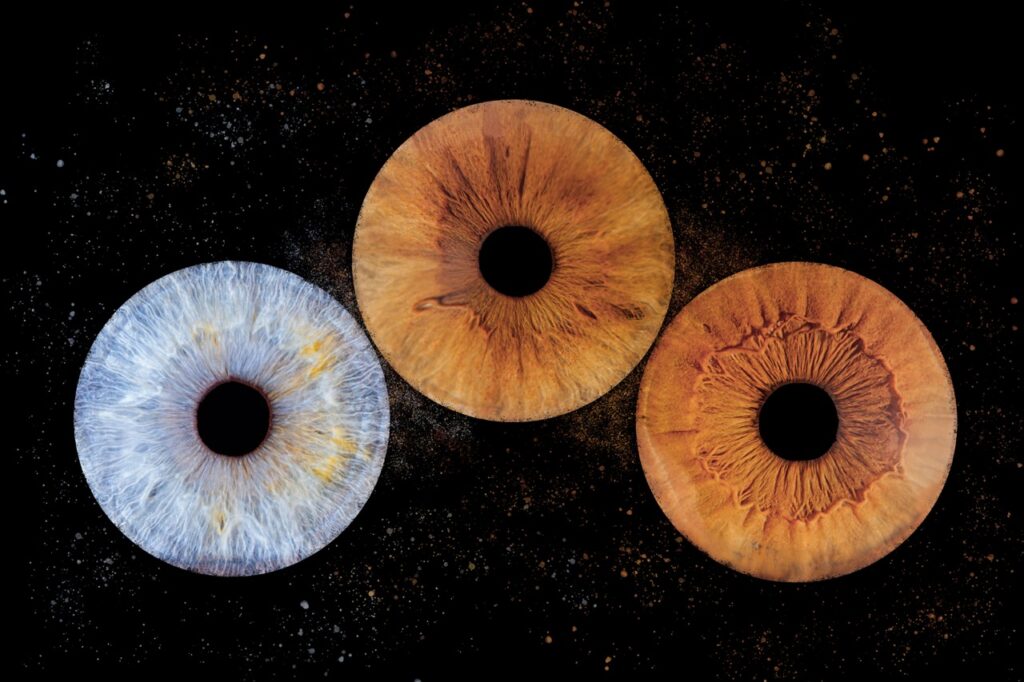 Trio d'iris bleu et orangés
