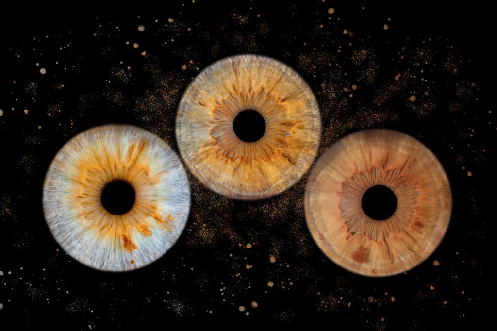 Photographie d'iris en trio sur fond noir